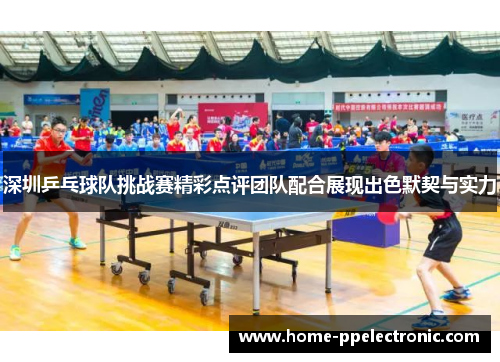 深圳乒乓球队挑战赛精彩点评团队配合展现出色默契与实力