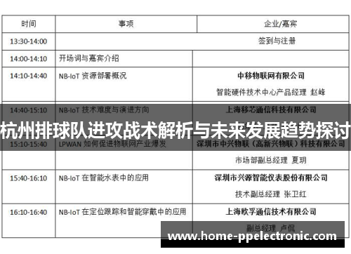 杭州排球队进攻战术解析与未来发展趋势探讨