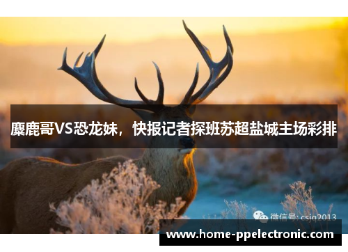 麋鹿哥VS恐龙妹,快报记者探班苏超盐城主场彩排 麋鹿哥VS恐龙妹,快报记者探班苏超盐城主场彩排